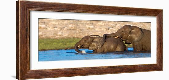 African Elephants (Loxodonta Africana) Bathing at Waterhole, Etosha National Park, Namibia-null-Framed Photographic Print