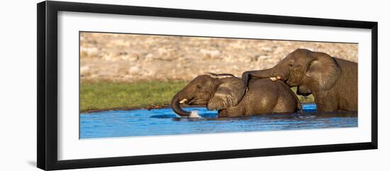 African Elephants (Loxodonta Africana) Bathing at Waterhole, Etosha National Park, Namibia-null-Framed Photographic Print