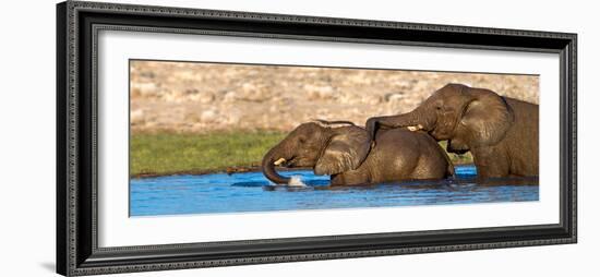 African Elephants (Loxodonta Africana) Bathing at Waterhole, Etosha National Park, Namibia-null-Framed Photographic Print