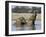 African Elephants, Loxodonta Africana, Bathing, Etosha National Park, Namibia, Africa-Ann & Steve Toon-Framed Photographic Print