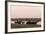 African Elephants (Loxodonta Africana), Chobe National Park, Botswana, Africa-Sergio Pitamitz-Framed Photographic Print