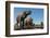 African elephants (Loxodonta africana) drinking at waterhole, Mashatu Game Reserve, Botswana-Sergio Pitamitz-Framed Photographic Print