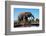 African elephants (Loxodonta africana) drinking at waterhole, Mashatu Game Reserve, Botswana-Sergio Pitamitz-Framed Photographic Print