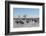 African Elephants (Loxodonta Africana), Khwai Concession, Okavango Delta, Botswana, Africa-Sergio Pitamitz-Framed Photographic Print