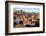 African elephants (Loxodonta africana), Mashatu Game Reserve, Botswana, Africa-Sergio Pitamitz-Framed Photographic Print