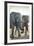 African Elephants, Nxai Pan National Park, Botswana-Paul Souders-Framed Photographic Print