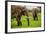 African Elephants on Safari, Mizumi Safari Park, Tanzania, East Africa, Africa-Laura Grier-Framed Photographic Print