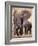 African Elephants, Tarangire National Park, Tanzania-Art Wolfe-Framed Photographic Print