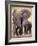 African Elephants, Tarangire National Park, Tanzania-Art Wolfe-Framed Photographic Print