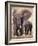 African Elephants, Tarangire National Park, Tanzania-Art Wolfe-Framed Photographic Print