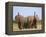 African Elephants, Using Trunks to Scent for Danger, Etosha National Park, Namibia-Tony Heald-Framed Premier Image Canvas