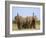 African Elephants, Using Trunks to Scent for Danger, Etosha National Park, Namibia-Tony Heald-Framed Photographic Print