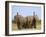 African Elephants, Using Trunks to Scent for Danger, Etosha National Park, Namibia-Tony Heald-Framed Photographic Print