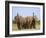 African Elephants, Using Trunks to Scent for Danger, Etosha National Park, Namibia-Tony Heald-Framed Photographic Print