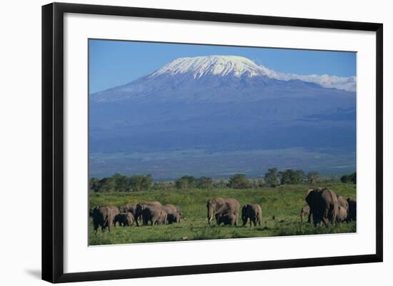 African Elephants Walking in Savanna-DLILLC-Framed Photographic Print