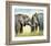 African Elephants-Sarah Stribbling-Framed Art Print