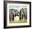 African Elephants-Sarah Stribbling-Framed Art Print