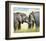 African Elephants-Sarah Stribbling-Framed Art Print