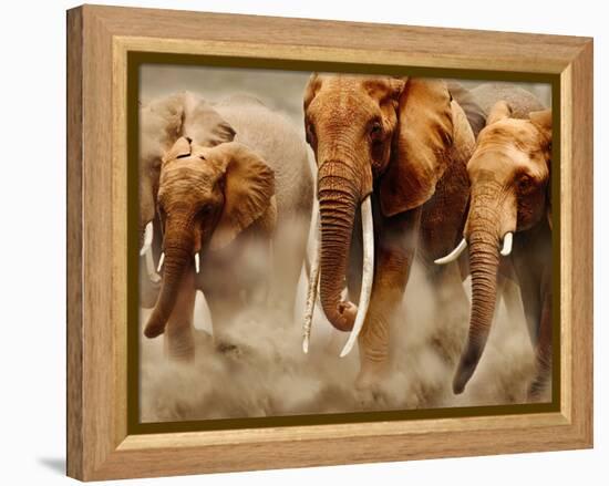 African Elephants-Martin Harvey-Framed Premier Image Canvas