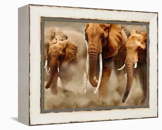 African Elephants-Martin Harvey-Framed Premier Image Canvas