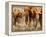 African Elephants-Martin Harvey-Framed Premier Image Canvas