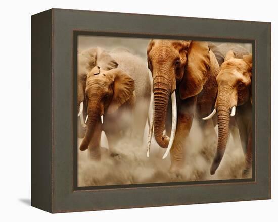 African Elephants-Martin Harvey-Framed Premier Image Canvas