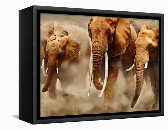 African Elephants-Martin Harvey-Framed Premier Image Canvas