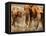 African Elephants-Martin Harvey-Framed Premier Image Canvas