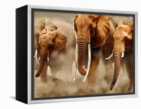 African Elephants-Martin Harvey-Framed Premier Image Canvas