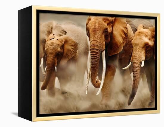 African Elephants-Martin Harvey-Framed Premier Image Canvas