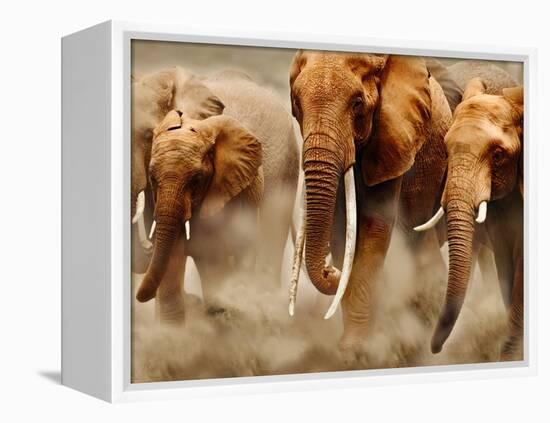 African Elephants-Martin Harvey-Framed Premier Image Canvas