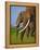 African Elephants-Martin Harvey-Framed Premier Image Canvas