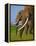 African Elephants-Martin Harvey-Framed Premier Image Canvas