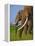 African Elephants-Martin Harvey-Framed Premier Image Canvas