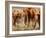 African Elephants-Martin Harvey-Framed Photographic Print