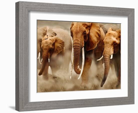 African Elephants-Martin Harvey-Framed Photographic Print