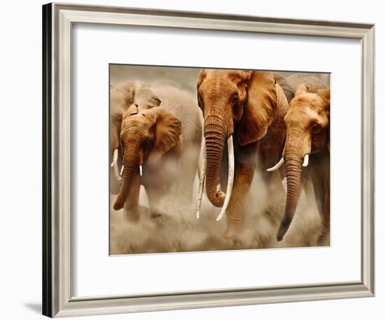 African Elephants-Martin Harvey-Framed Photographic Print