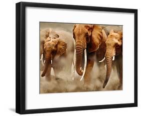 African Elephants-Martin Harvey-Framed Photographic Print