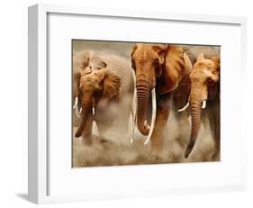 African Elephants-Martin Harvey-Framed Photographic Print