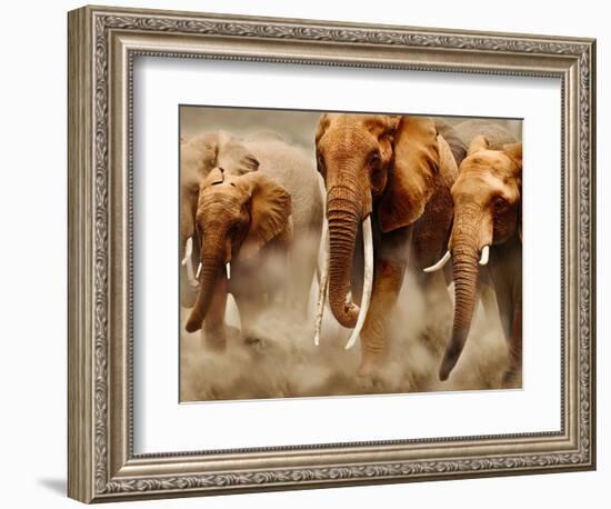 African Elephants-Martin Harvey-Framed Photographic Print