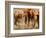 African Elephants-Martin Harvey-Framed Photographic Print