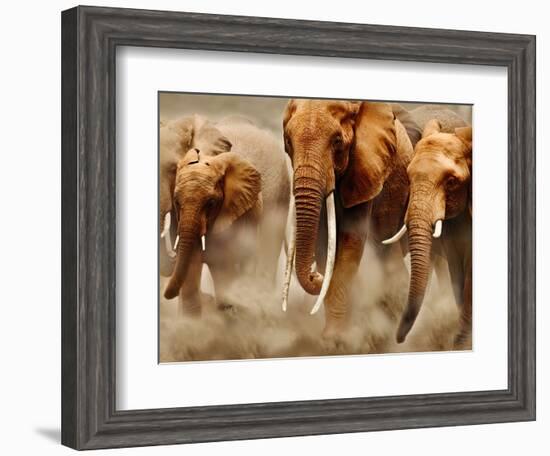 African Elephants-Martin Harvey-Framed Photographic Print