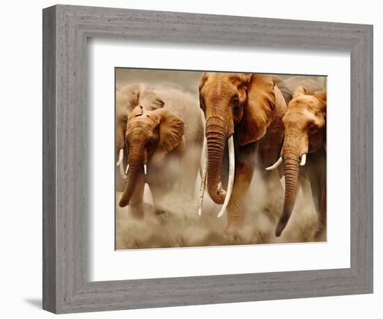 African Elephants-Martin Harvey-Framed Photographic Print