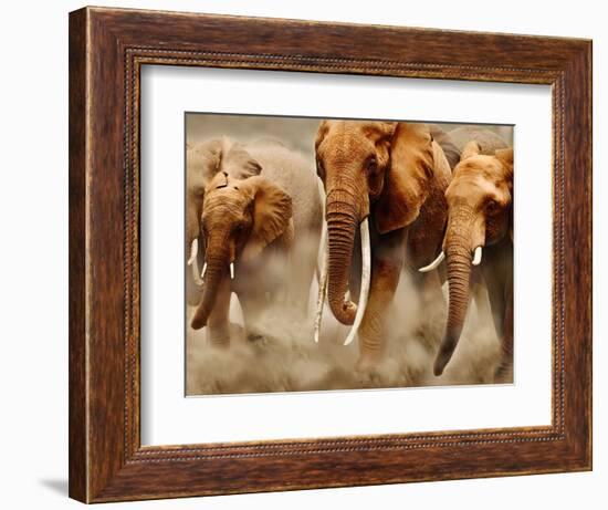 African Elephants-Martin Harvey-Framed Photographic Print