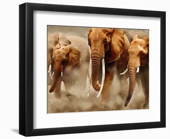 African Elephants-Martin Harvey-Framed Photographic Print