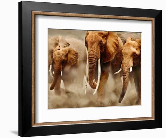 African Elephants-Martin Harvey-Framed Photographic Print