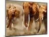 African Elephants-Martin Harvey-Mounted Photographic Print