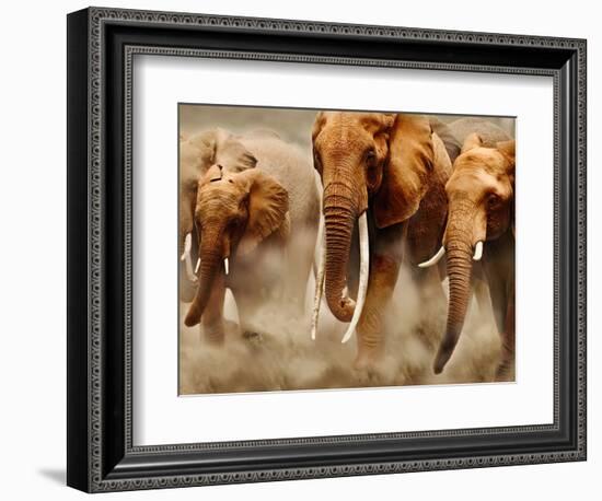 African Elephants-Martin Harvey-Framed Photographic Print