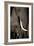 African Elephants-Paul Souders-Framed Photographic Print