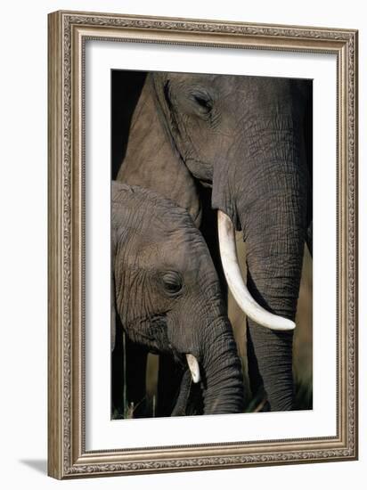 African Elephants-Paul Souders-Framed Photographic Print